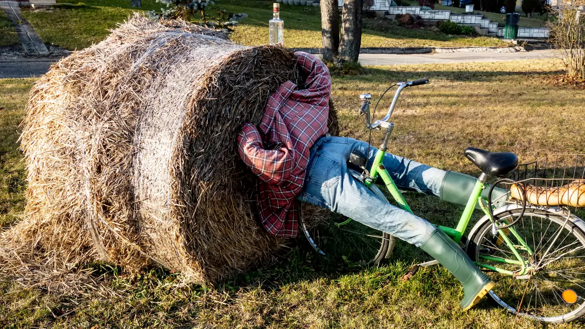 Zdjęcie ilustracyjne