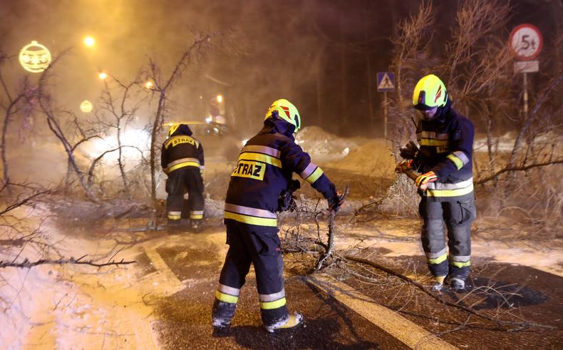 Strażacy usuwają drzewo powalone na jezdnię w centrum Zakopanego