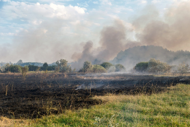 Pożar po wypalaniu traw