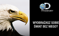 "Ginący świat" roślin i zwierząt w nowym dokumencie zdobywcy Oscara, Louie Psihoyosa