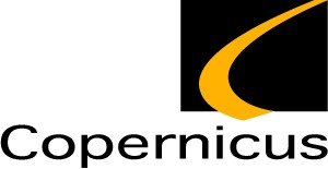 3. 2013: Copernicus Capital Towarzystwo Funduszy Inwestycyjnych SA – podwójna kara: 0,7 mln zł oraz 0,5 mln zł. Powód: naruszenie ustawy o funduszach inwestycyjnych. Karę nałożono w październiku 2013 r. KNF uznał, że fundusz dopuścił się nadużyć w procesie nabywania aktywów do portfela Subfunduszu Dłużnych Papierów Korporacyjnych. Miesiąc wcześniej niezatrudnienie odpowiedniej liczby doradców kosztowało spółkę 0,5 mln zł. Fundusz wchodzi w skład grupy kapitałowej Copernicus Securities SA, która jest notowana na NewConnect.