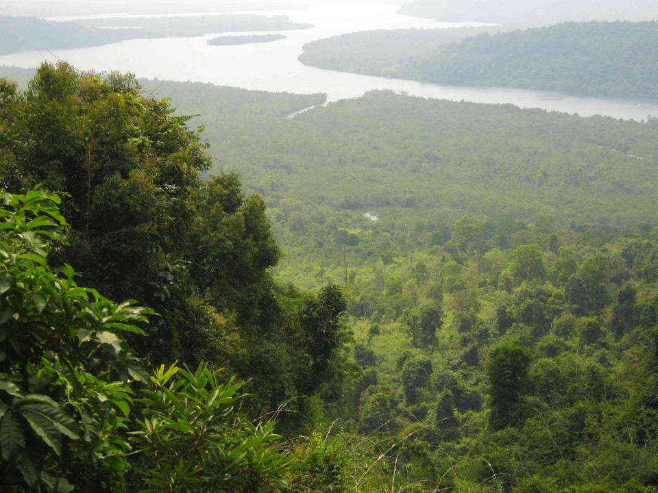 Wiele hektarów Gór Kardamonowych to gęsto porośnięta, częściowo do dzisiaj niezbadana, dżungla