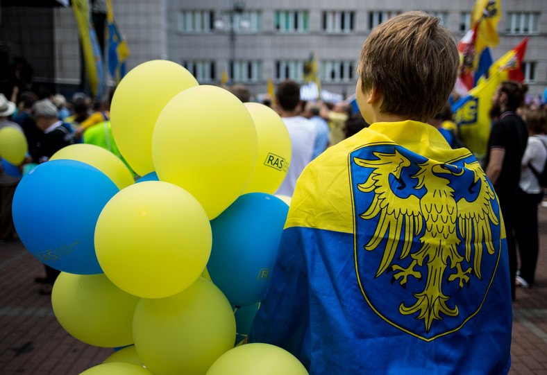 Chłopiec ze śląską flagą na plecach podczas XII Marszu Autonomii Śląska w Katowicach, 14 lipca 2018 r.