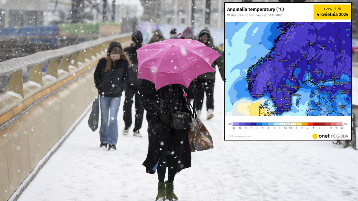 Zima zamroziła część Europy. Silne śnieżyce i wielki mróz paraliżują życie