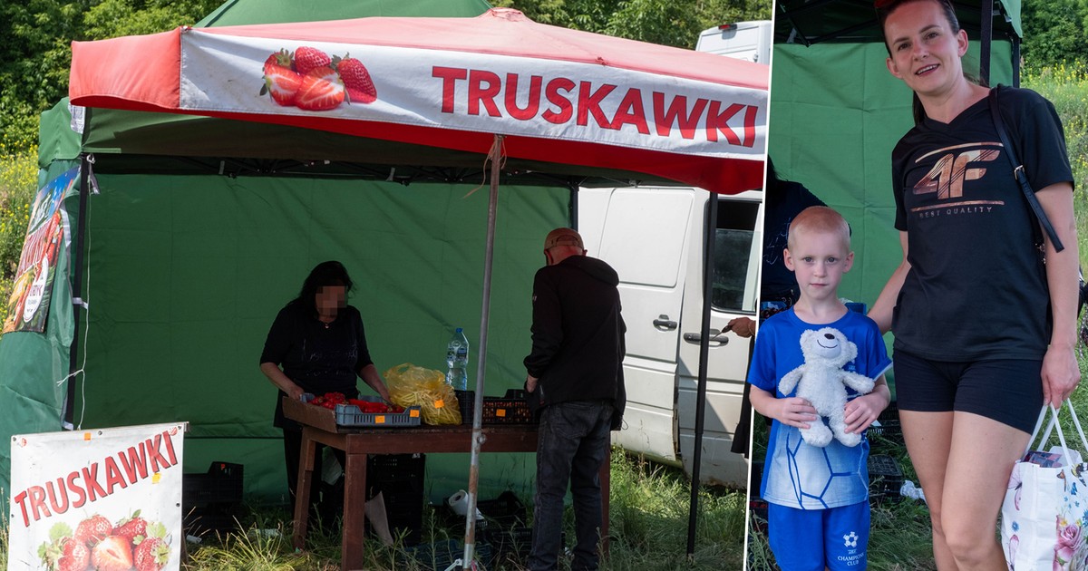 Truskawkowa mafia w Luboniu: podwójna nagroda, brak sprawcy