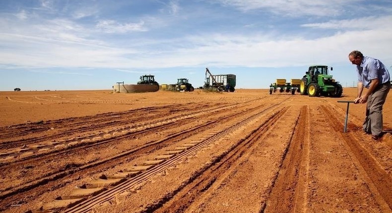 A farmer inspects the soil ahead of planting at a maize field in Wesselsbron, a small maize farming town in the Free State province of South Africa, January 13, 2016. REUTERS/Siphiwe Sibeko/File Photo