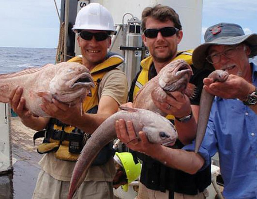 Naučnici sa univerziteta Aberdin sa svojim "otkrićima"
