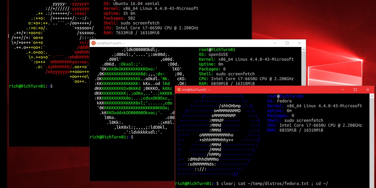 Ubuntu, Suse i Fedora w Windowsie