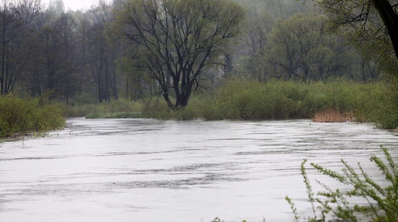 Podwyższony poziom Warty w Mstowie