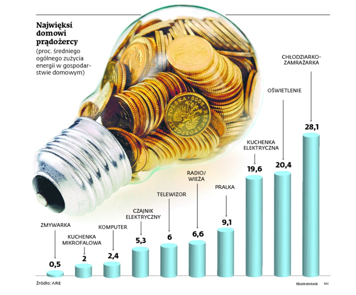 Najwięksi domowi prądożercy