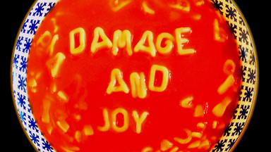 THE JESUS AND MARY CHAIN - "Damage And Joy"