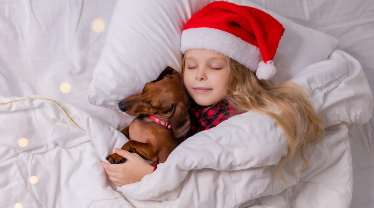 Fontos, hogy karácsonykor kipihenjük magunkat / Fotó: Shutterstock
