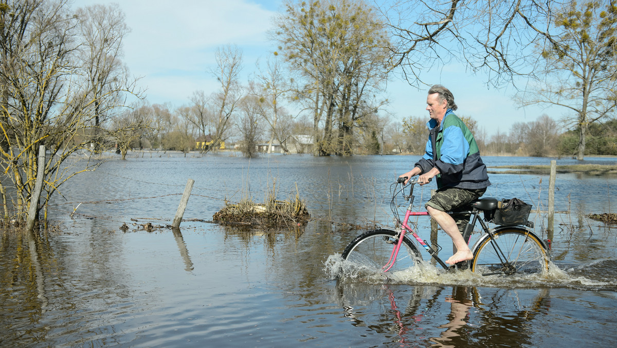 Bardzo powoli opada poziom wody na Bugu w Lubelskiem. We Włodawie rzeka nadal przekracza stan alarmowy o ponad metr, rozlewiska otaczają przeszło 130 gospodarstw.