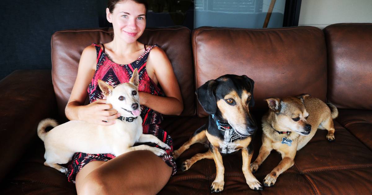 Emilia i Jacek są petsitterami. Dzięki temu stać ich na dalekie podróże