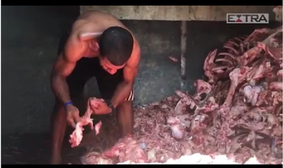 Kriza gladi u Brazilu - ljudi kopaju po životinjskim ostacima