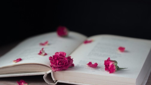 Irodalmi kvíz: 8 regény, aminek ismerned kell az íróját, ha jártál iskolába