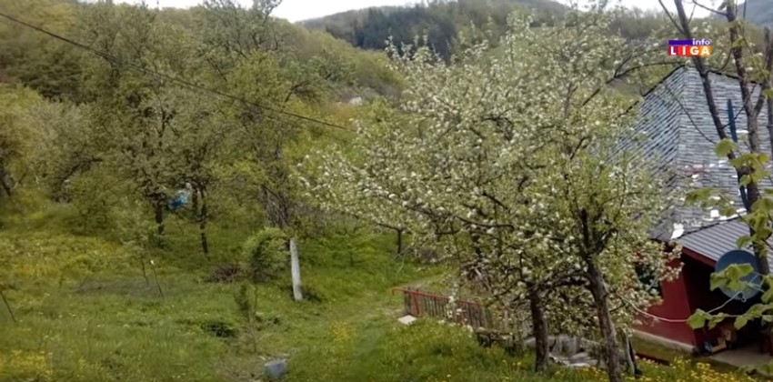 Košnice se nalaze u neposrednoj blizini kuća