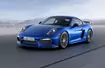 Porsche Cayman GT4: 4,4 sekundy do „setki" i 295 km/h