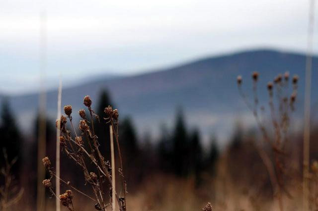 Galeria Polska - Beskid Makowski, obrazek 14