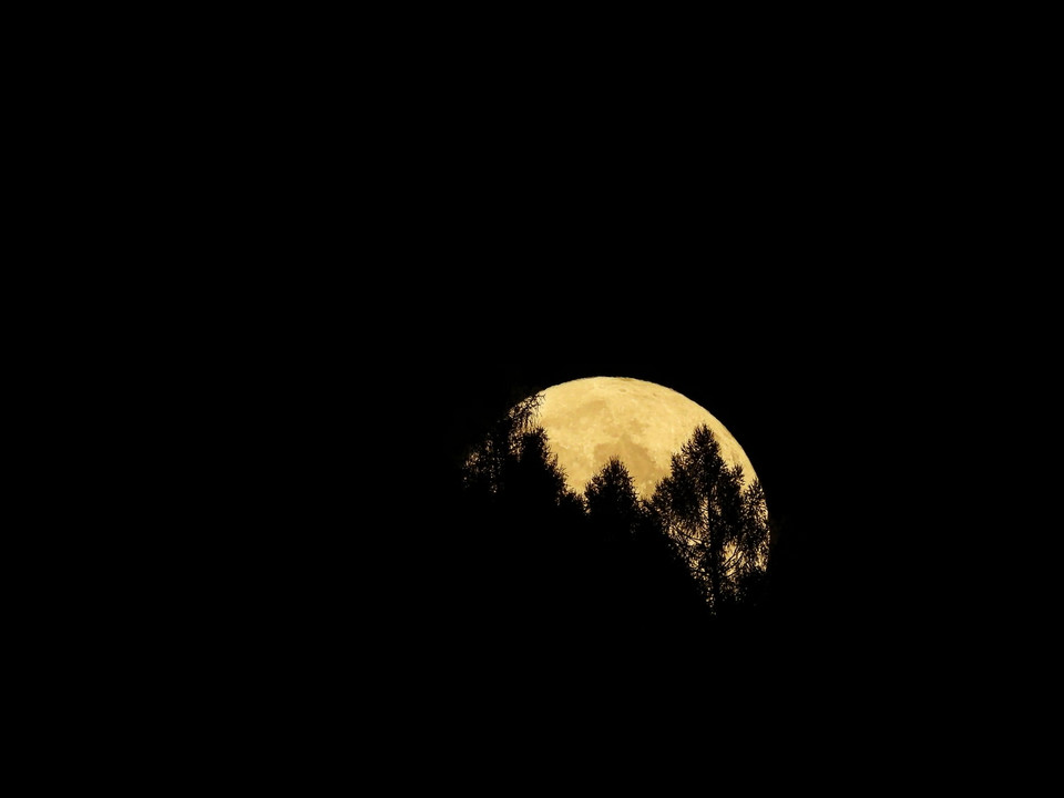 Niebieski Księżyc w Muszynie