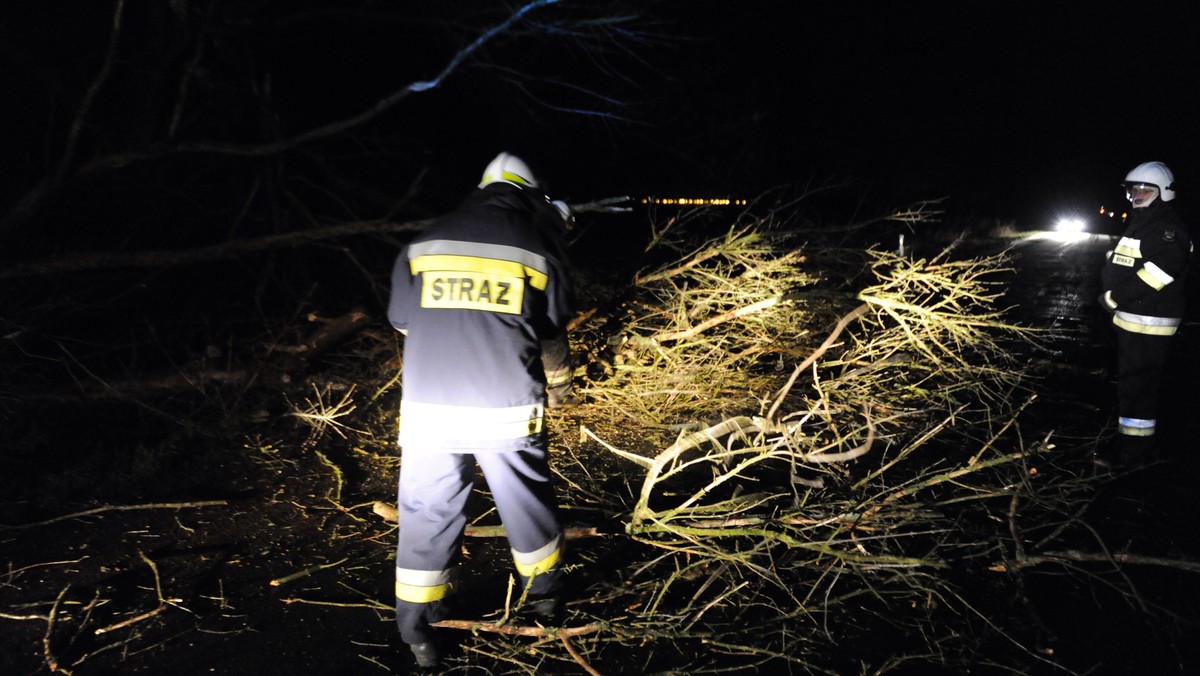 Łącznie 923 interwencje odnotowali strażacy w woj. śląskim od czwartku do soboty w związku z usuwaniem następstw silnych wiatrów. Od sobotniego poranka interwencji było 207, większość dotyczyła usuwania połamanych drzew.