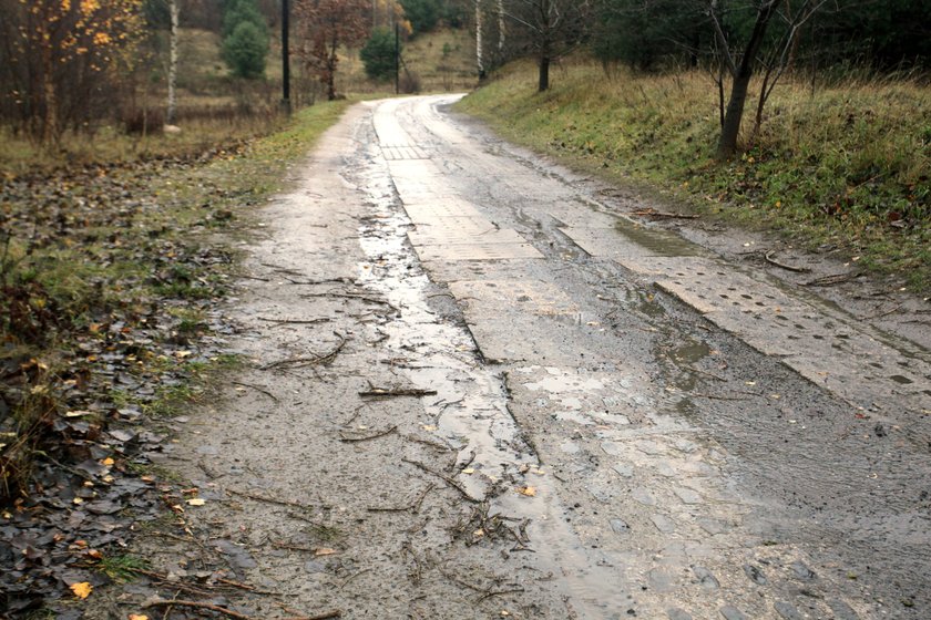 Wybrano już projekty, które będą realizowane w ramach gdyńskiego Budżetu Obywatelskiego