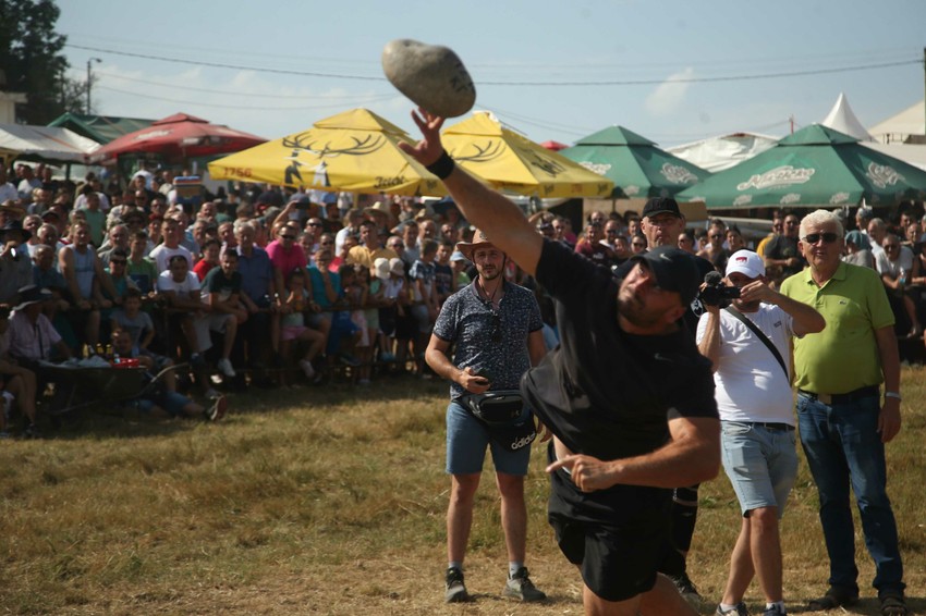 Kočićev zbor, Manjača