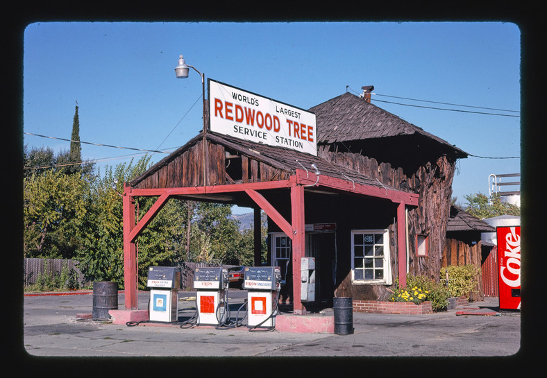 Redwood Tree Service Station w Ukiah w Kaliforni, USA