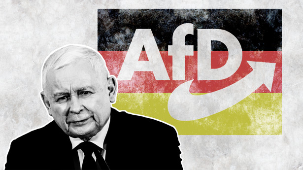 Kaczyński - AfD - Niemcy