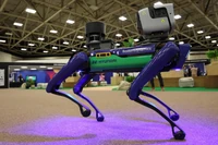 Pilnować bezpieczeństwa będą robotyczne psy. Jak A