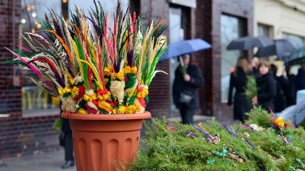 Wierni, którzy uczęszczają do Sanktuarium Matki Bożej Królowej Polskich Męczenników w Warszawie, mogli przeczytać nietypową informację na temat Niedzieli Palmowej. Wynika z niej, że nie wszystkie palmy, nadają się do poświęcenia w Niedzielę Palmową.