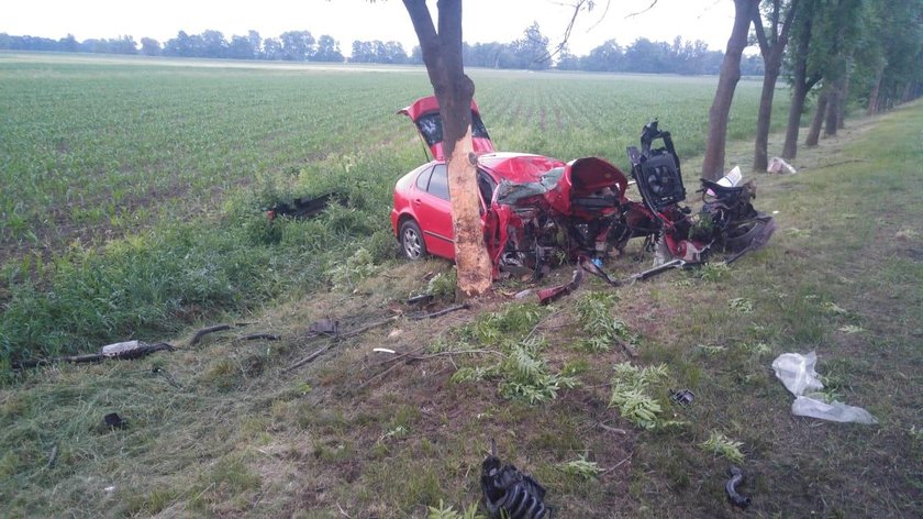 Wezwano śmigłowiec Lotniczego Pogotowia Ratunkowego. Niestety kobieta zginęła na miejscu.