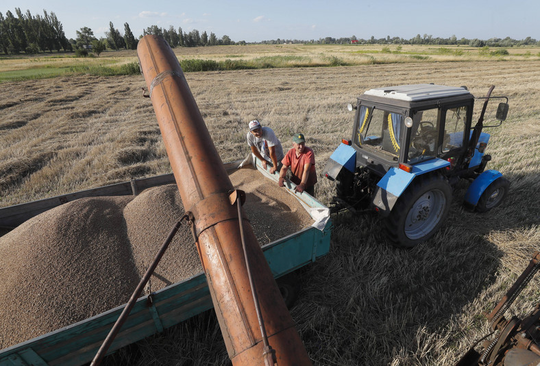 Rolnicy zrzucają zboże z kombajnu zbożowego podczas żniw w pobliżu Kijowa, Ukraina, 18 lipca 2023 r.