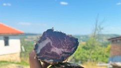 Farma na kraj sela
