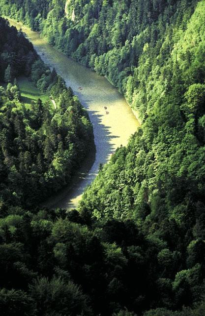 Galeria Polska - Pieniny, obrazek 14