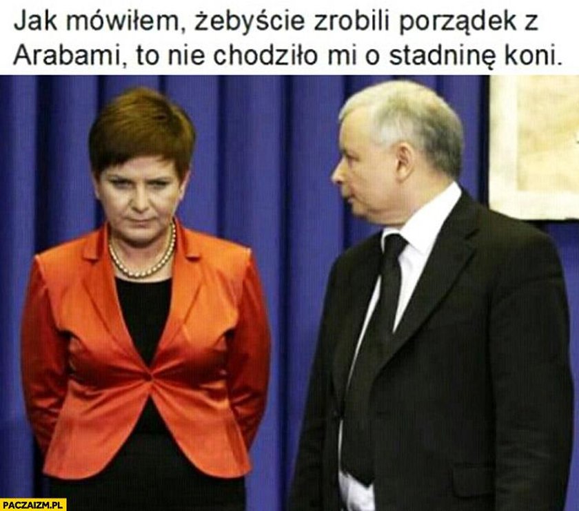 Pół roku rządu Szydło