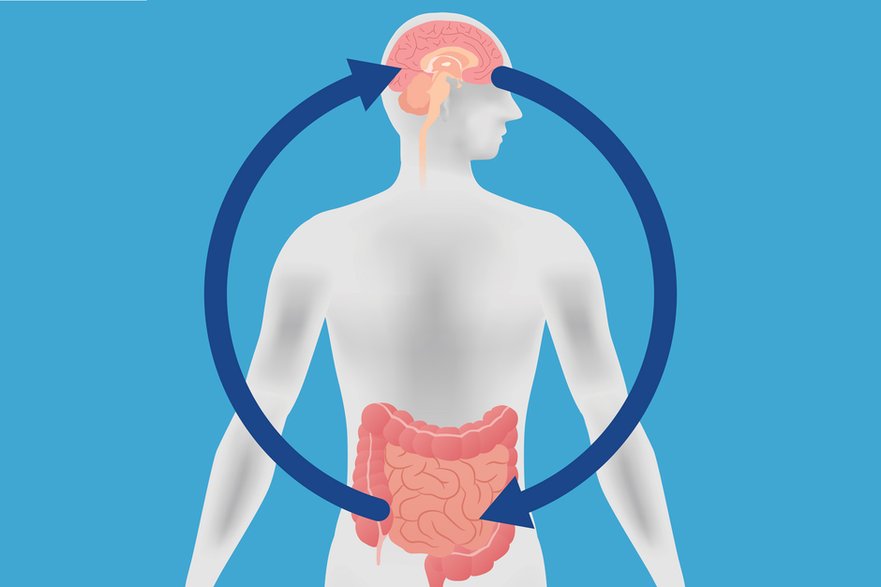 Jelito komunikuje się z mózgiem na kilka sposobów