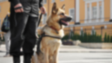 Stołeczni policjanci żegnają psy, które zginęły w wyniku awarii ciepłowniczej