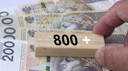 zus otwiera nabór na 800 plus. jeden termin zdecyduje o wypłacie