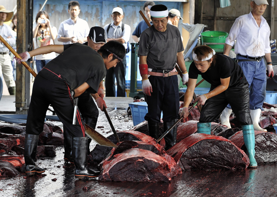 JAPAN FEATURE PACKAGE WHALING