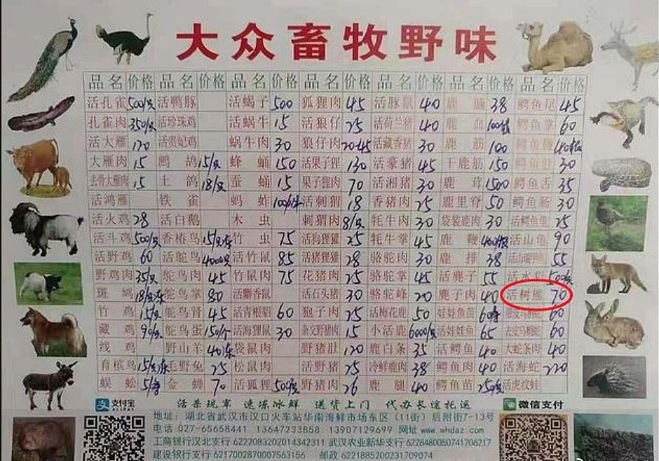 U crvenom krugu: Cena koale na pijaci 