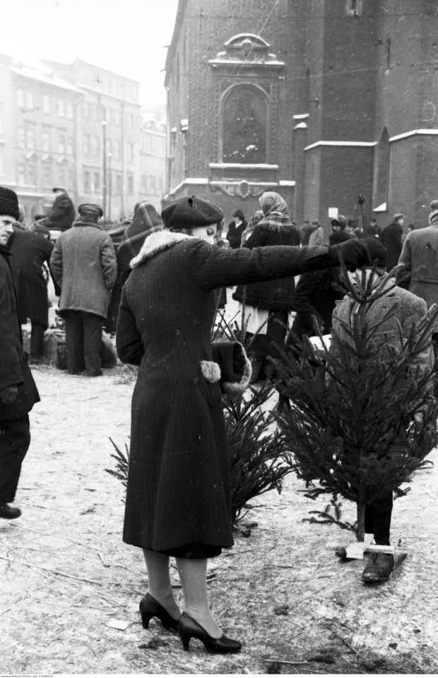 Przedświąteczna sprzedaż choinek na Rynku Głównym w Krakowie (1932 r.)