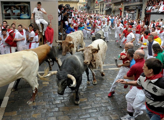 Byki na ulicach Pampeluny