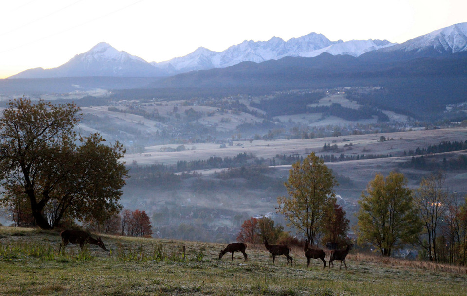 Jesienny poranek w Tatrach