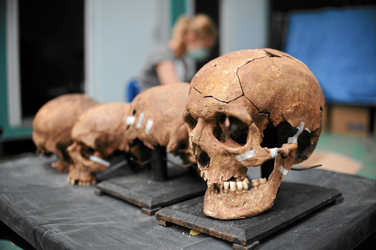 Szczątki wydobyte w czasie ekshumacji na Powązkach