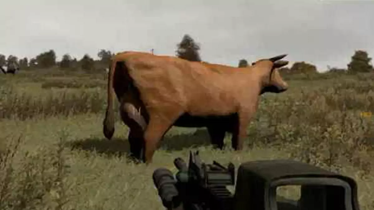 ArmA 2: bugi i święta krowa