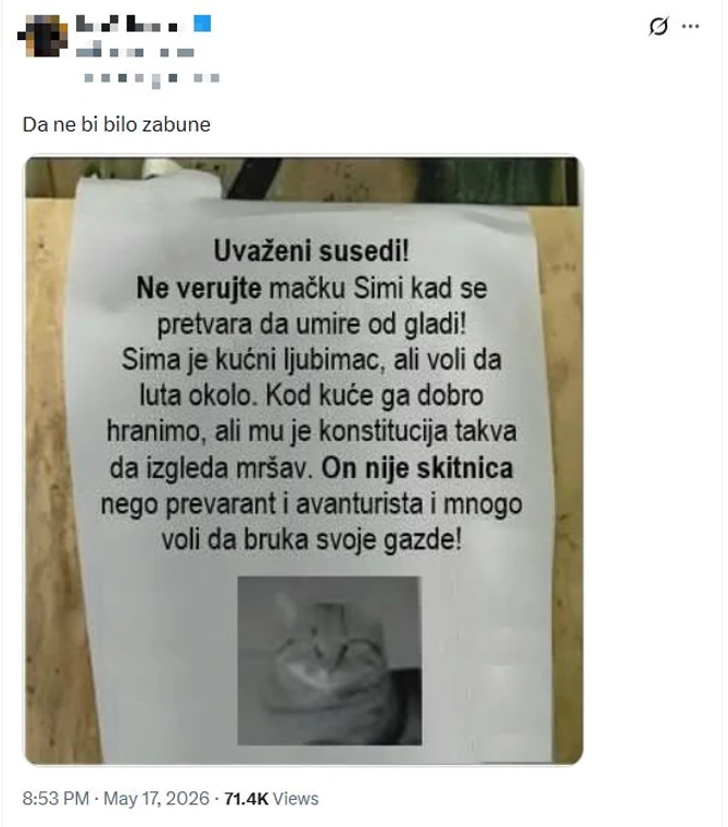 Oglas o mačku Simi nasmejao sve u kraju