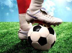 Polaków sport brzydzi