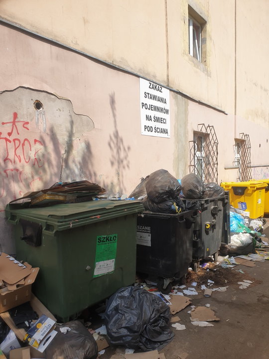 "Alejka wstydu" we Wrocławiu. Śmieci leżą, urzędnicy nie widzą problemu