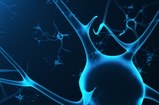 Osiem nadziei w medycynie. Oto kandydaci na przyszłego polskiego jednorożca